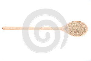 Fresh yeast on wooden spoon