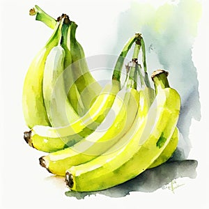Fresh yellow bananas. Watercolor painting
