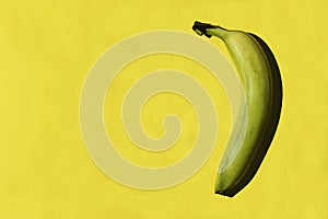 Fresh yellow bananas on yellow background with copy space for your text, top view.