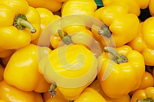 Fresh yellow bell pepper