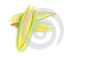 Fresh yellow corn cobs on white background