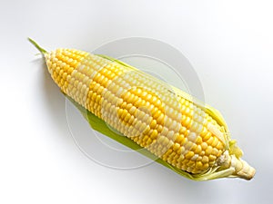 Fresh yellow corn on white background