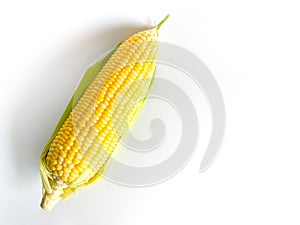 Fresh yellow corn on white background