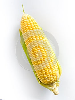 Fresh yellow corn on white background