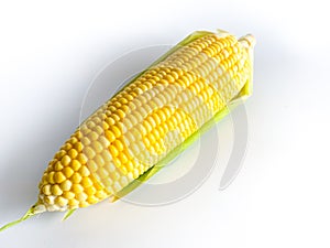 Fresh yellow corn on white background