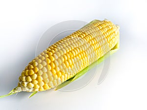 Fresh yellow corn on white background