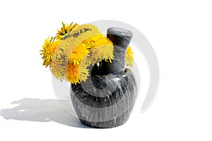 Fresh yellow dandelion flowers stand on a mortar