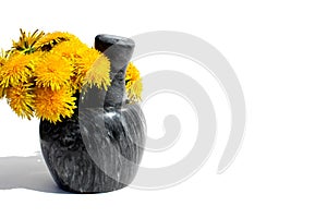 Fresh yellow dandelion flowers stand on a mortar