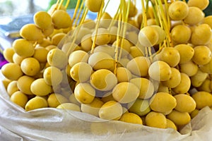 Fresh Yellow Date Palm ready for market