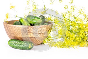 Fresh yellow dill flowers isolated on white