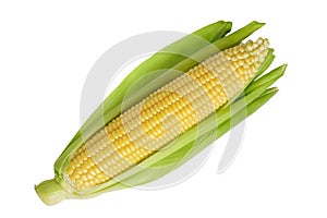 Fresh yellow ear of corn with green leaves isolated on white background