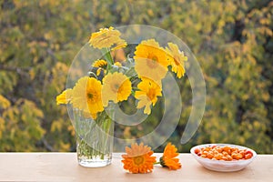 Fresh yellow flowers in glass vase and berries of sea buckthorn in saucer. Autumn colorfull  composition. Outdoors
