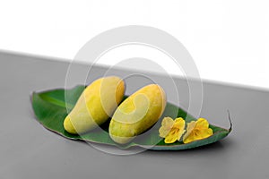 Fresh yellow green mango on banana leaf with yelllow fower decoration beside on gray and white background