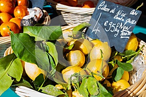 Fresh yellow lemons. Lots of fresh lemons fruits sale in supermarket. Many fresh lemons wallpaper