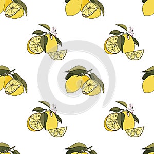 Fresh yellow lemons seamless doodle organic citrus summer fruits vector eps pattern on white background