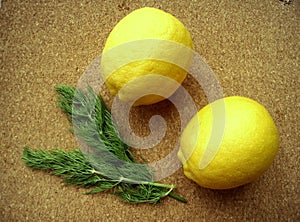 Fresh yellow lemons and a sprig of dill on the cork background