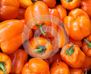 Fresh yellow, orange organic bell peppers capsicum