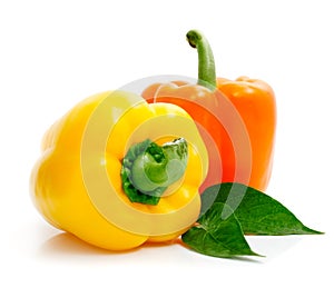 Fresh yellow pepper isolated on white