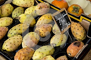 Fresh Yellow Prickley pear cactus fruits for sale