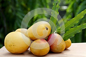 Fresh yellow ripe mangoes against green