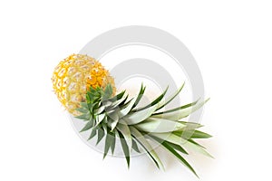 Fresh, yellow, ripe pineapple fruit with green leaves isolated on a white background. Healthy tropical fruit for smoothies and