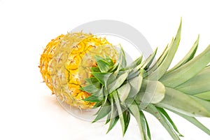 Fresh, yellow, ripe pineapple fruit with green leaves isolated on a white background. Healthy tropical fruit for smoothies and