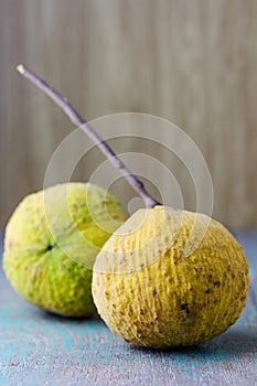 Fresh yellow santols fruit