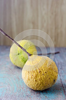 Fresh yellow santols fruit