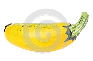 Fresh yellow zucchini isolated on white background. Yellow squash