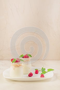 fresh yogurt with raspberry and mint/Two glass jars with fresh y