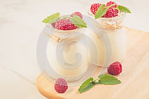 fresh yogurt with raspberry and mint/Two glass jars with fresh y