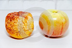 fresh young apple next to a wrinkled old rotten one. Aging process concept, young vs old