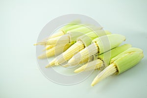 Fresh young baby corn