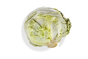 Fresh young cabbage isolated on white background. Spring green vegetables