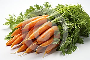 Fresh young carrot with green leaves isolated on white background.