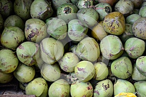 Fresh young coconut symmetrically to attract buyers at market stall photo