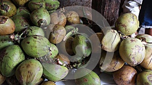 Fresh young coconuts, Fresh green coconut, Piles of green coconut