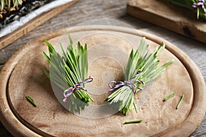 Fresh young green barley grass blades in two bundles