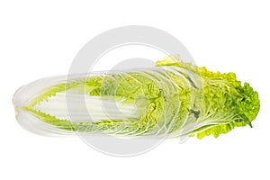 Fresh young green chinese cabbage isolated on white background