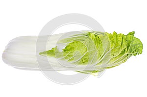 Fresh young green chinese cabbage isolated on white background