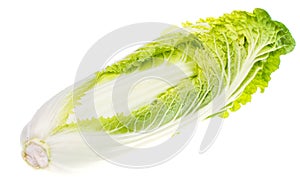 Fresh young green chinese cabbage isolated on white background