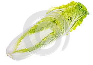 Fresh young green chinese cabbage isolated on white background