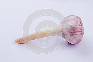 Fresh young pink garlic with a long stem.