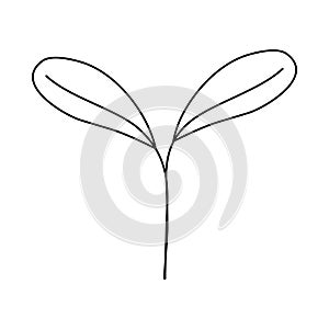 Fresh young plant sprout, doodle style flat vector outline for coloring book