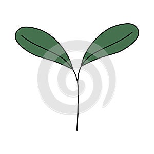 Fresh young plant sprout, spring design element, vector