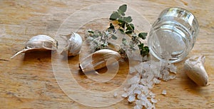 fresh Zaatar, garlic and salt grains ingredient of middle eastern recepies