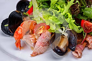 Fresh and Zesty Seafood Salad with Mussels, Shrimp, and Squid