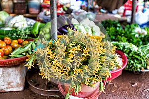 Fresh zucchini with flowers