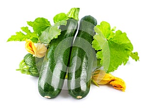 Fresh zucchini with green leaf and flower