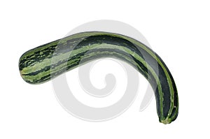 Fresh zucchini